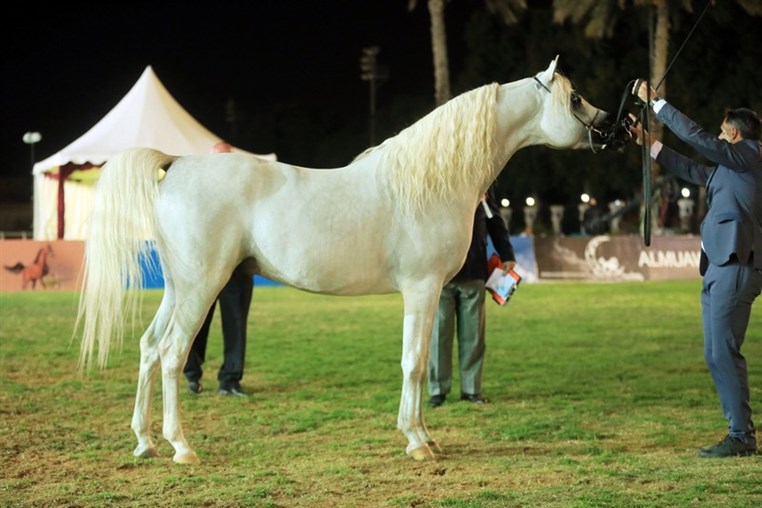 Beirut will host the race of Sheikh Mansoor in May 2016